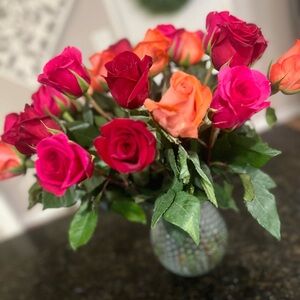 Meet your Posher, Ana